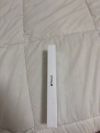 Apple Pencil con conector Lightning