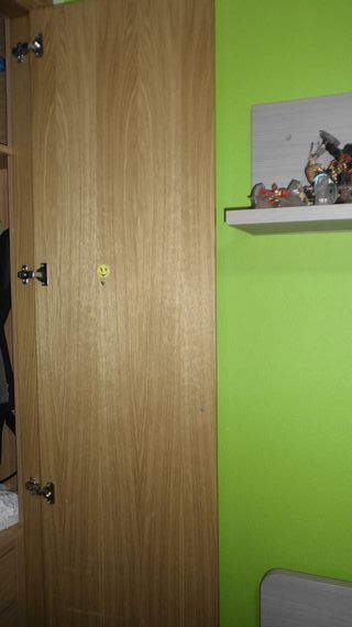 Puertas de armario empotrado roble