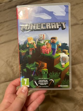 Minecraft Nintendo
