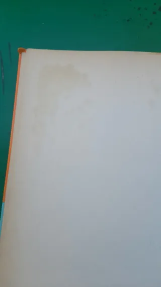 Grande libro vintage per bambini