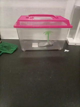 Pecera para peces con accesorios