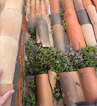 Canalon, canalones limpieza cubierta tejado