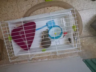 Jaula con Tubo exterior.