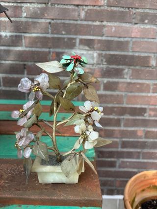 Set di 5 Bonsai Cinesi in Stile Giada