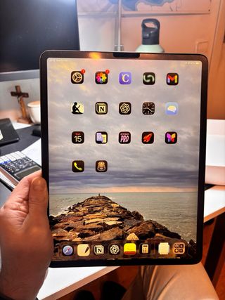 iPad Pro 12.9 3ª Gen 256gb + Custodia