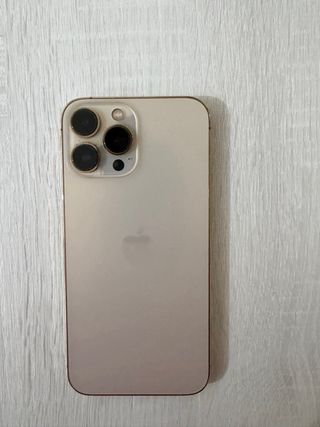 iPhone 13 Pro Max 256GB