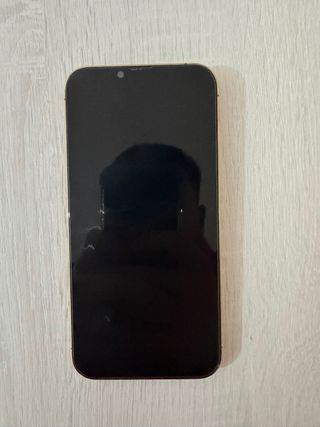iPhone 13 Pro Max 256GB