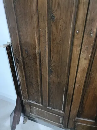 Librería francesa armario antigua pino Flandes