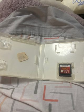 Kung Fu Panda per Nintendo DS