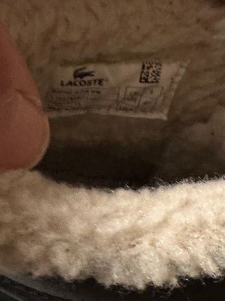 Botines Lacoste Marrones Hombre