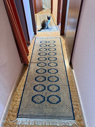 Tappeti eleganti per corridoio beige e blu