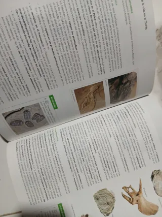 Biología, Geología y Ciencias Ambientales 1.