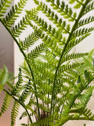 Planta Artificial Decorativa