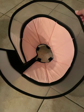 Collare Elisabetta Rosa Trasparente