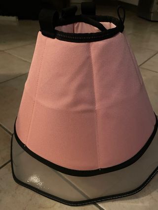 Collare Elisabetta Rosa Trasparente