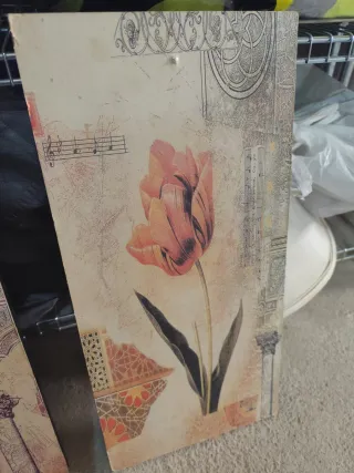 2 Cuadros Decorativos Tulipanes