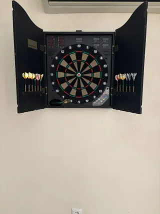 Diana de dardos profesional