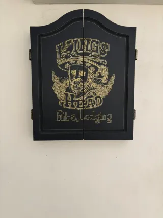 Diana de dardos profesional