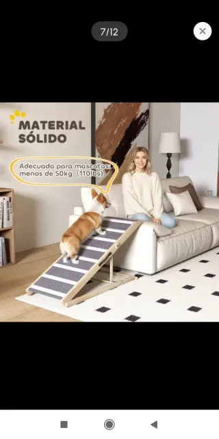 Rampa plegable mascotas regulable 41-60cm