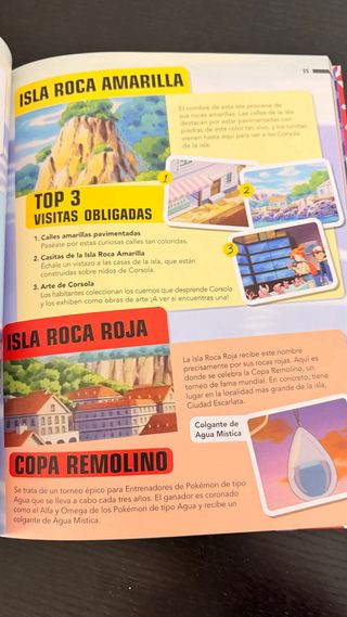 Pack Pokémon: Libro, Cajas y Cartas