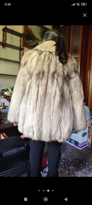 Chaquetón piel zorro plateado (negociable)