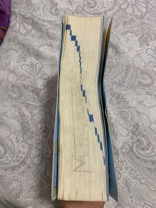 Diccionario Nivel Intermedio - Primaria (Spanis...