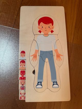 Juego infantil de cuerpo humano