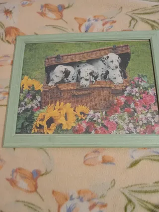 Quadro con cuccioli di dalmata