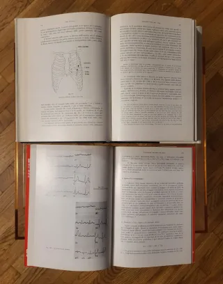 Lotto libri di Cardiologia