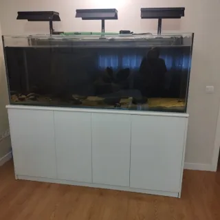 Acuario grande con mueble blanco