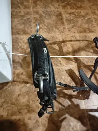 Arreos de enganche completos para burro andaluz