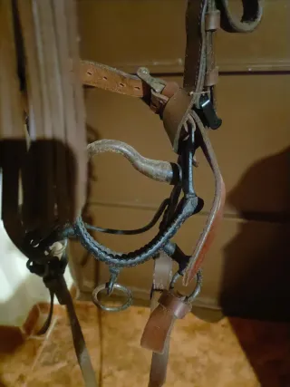 Arreos de enganche completos para burro andaluz