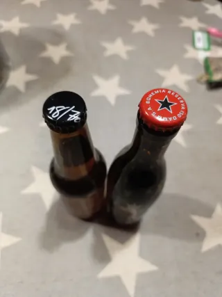 Botellas serigrafiadas Damm y 18/70 VACÍAS