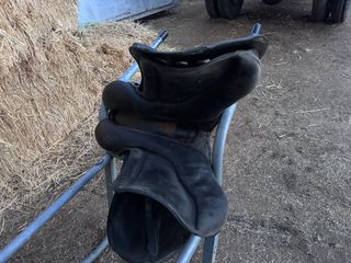 Silla de salto Zaldi Olympic negra