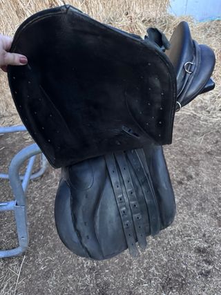 Silla de salto Zaldi Olympic negra