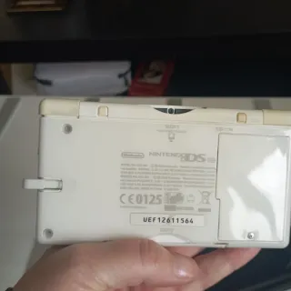 Nintendo DS Lite con custodia e caricabatterie