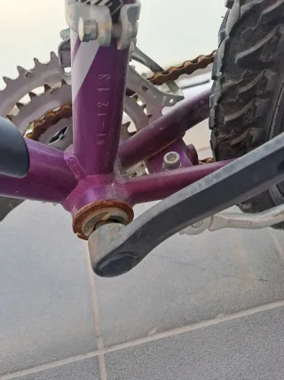 Bicicleta Morada Coluer