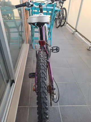 Bicicleta Morada Coluer