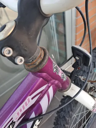 Bicicleta Morada Coluer