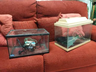 Dos acuarios 40 y 30 litros