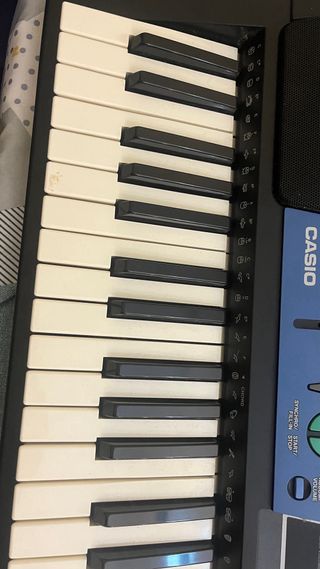 Teclado Casio CTK-511