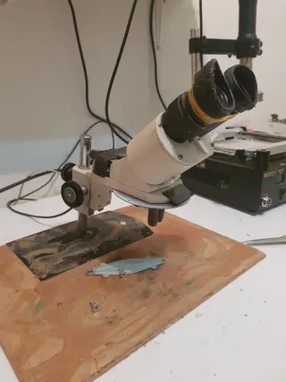 Microscopio Binocular