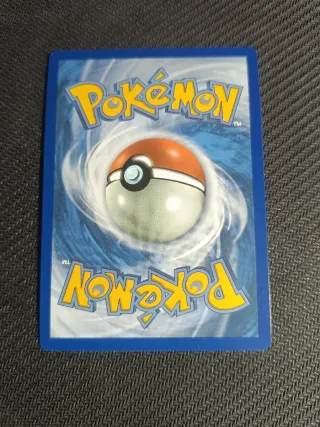 Counter Catcher Dorado (PAR 264/182)