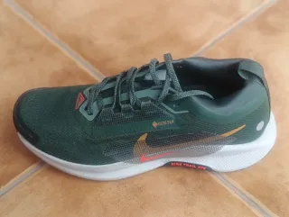 Zapatillas Nike Pegasus TRAIL GORETEX Hombre