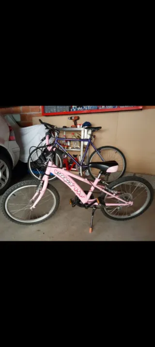 Bicicleta niña 20 rosa