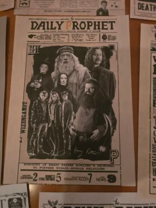Harry Potter - set di 13 poster Daily Prophet