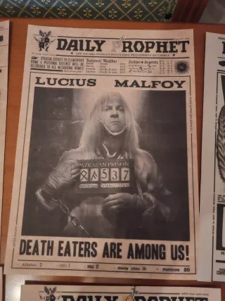 Harry Potter - set di 13 poster Daily Prophet