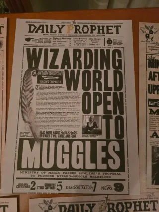 Harry Potter - set di 13 poster Daily Prophet