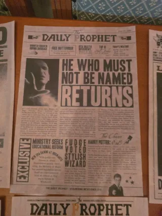 Harry Potter - set di 13 poster Daily Prophet