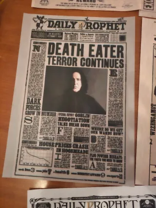 Harry Potter - set di 13 poster Daily Prophet